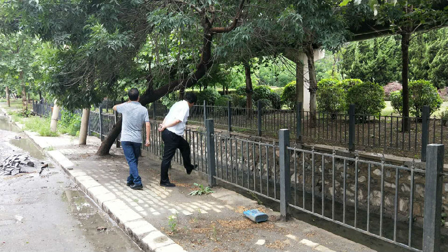 雨后检查 (2).jpg